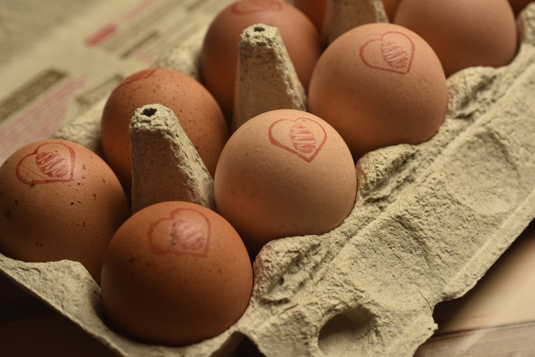 Do campo à embalagem: Mantiqueira Brasil reforça jornada rumo à economia circular