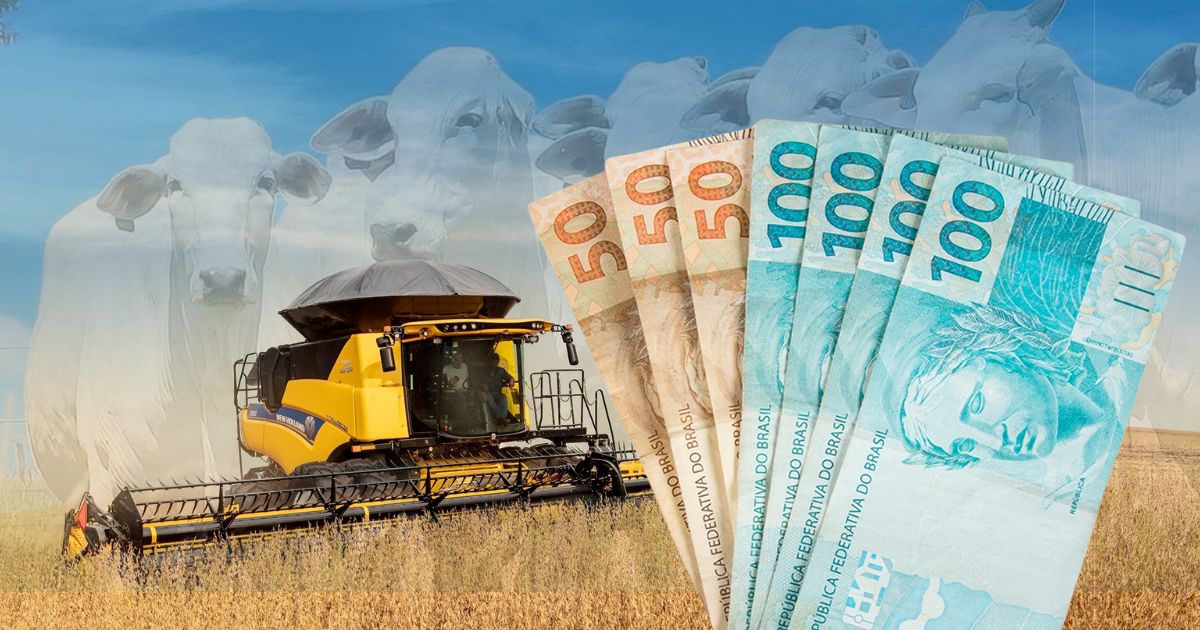 Como facções criminosas usam o agronegócio para lavagem de dinheiro