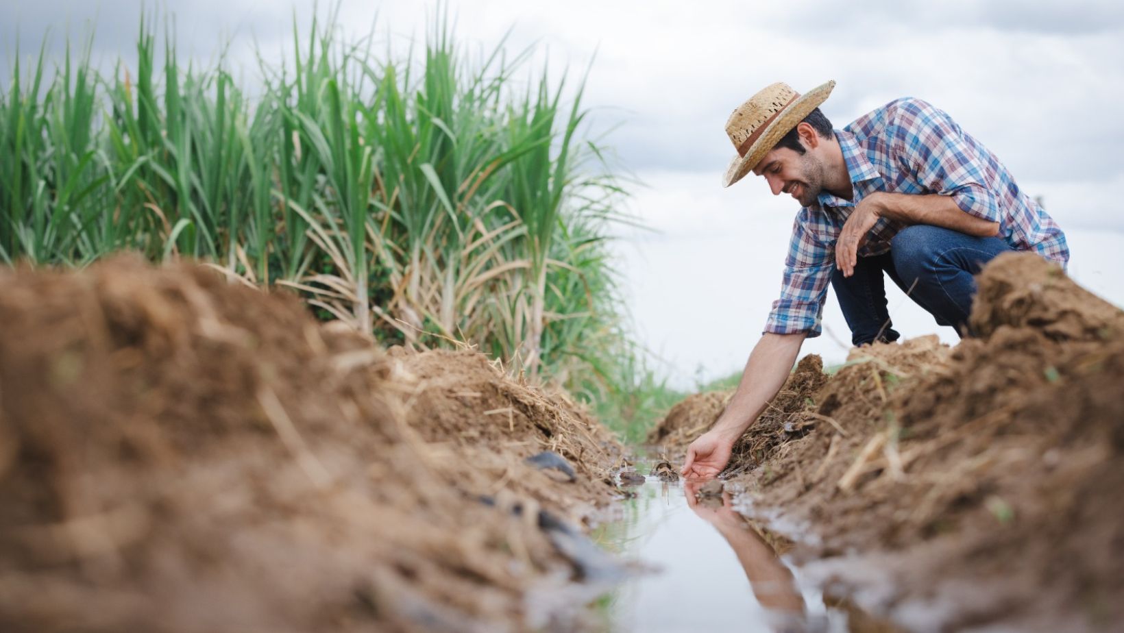 Poder da água: o controle de escoamento aumenta a produtividade