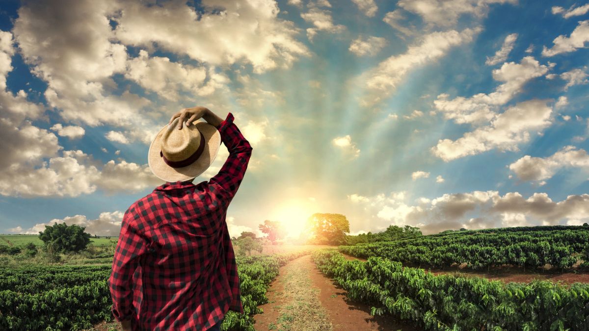 Agroicone lança o IDR-CAR, indicador que mensura o desenvolvimento socioeconômico no contexto dos imóveis rurais