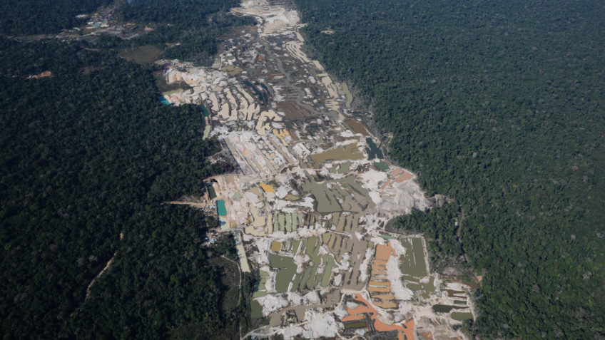 Brasil deve sufocar via Coaf as redes de lavagem ambiental, diz estudo