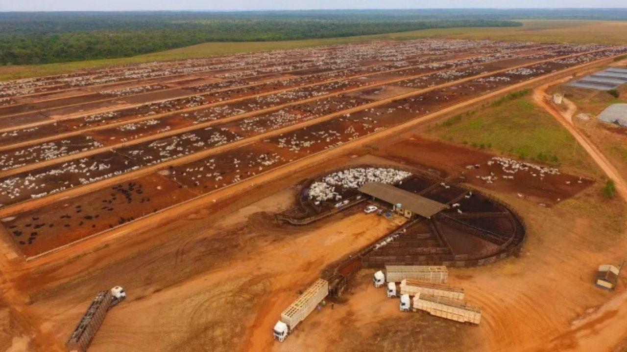 LFPEC tranquiliza mercado e esclarece situação judicial sobre alegações de fraude de R$ 286 milhões