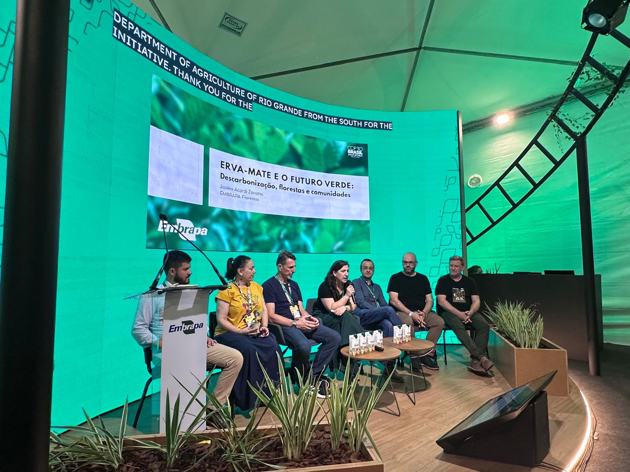Erva-mate tem potencial para conciliar geração de renda, descarbonização e conservação da Mata Atlântica
