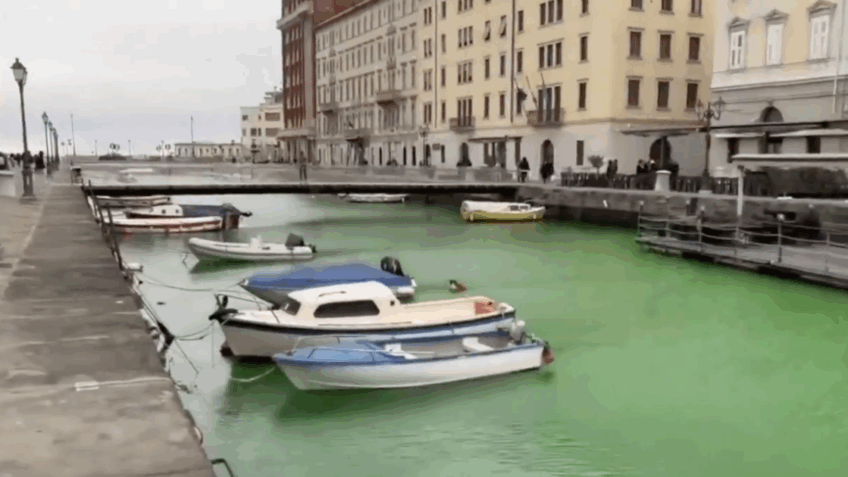 Veneza expulsa Greta da cidade após ativista tingir canal de verde