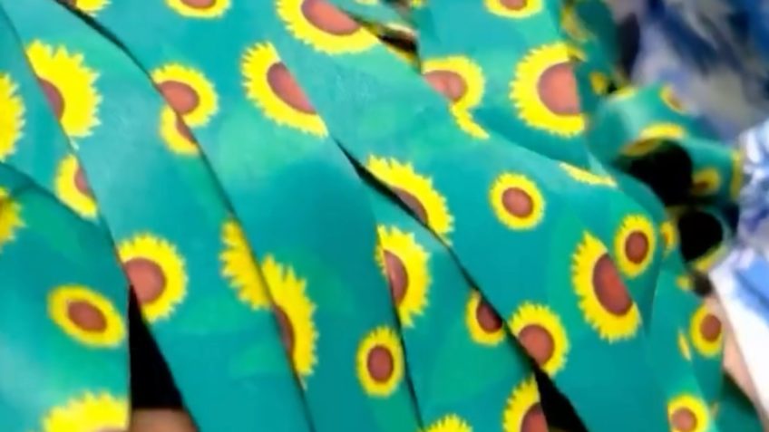 Lula veta projeto que obrigava SUS a distribuir cordão de girassol