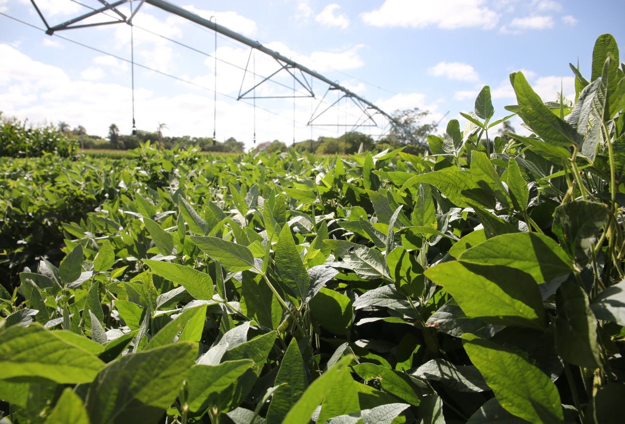 Receita Federal realiza Ação de Conformidade Declara Agro – Arrendamentos
