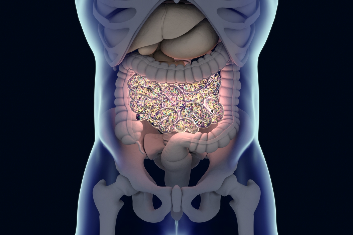 Substâncias químicas comuns podem afetar seu intestino, sugere estudo