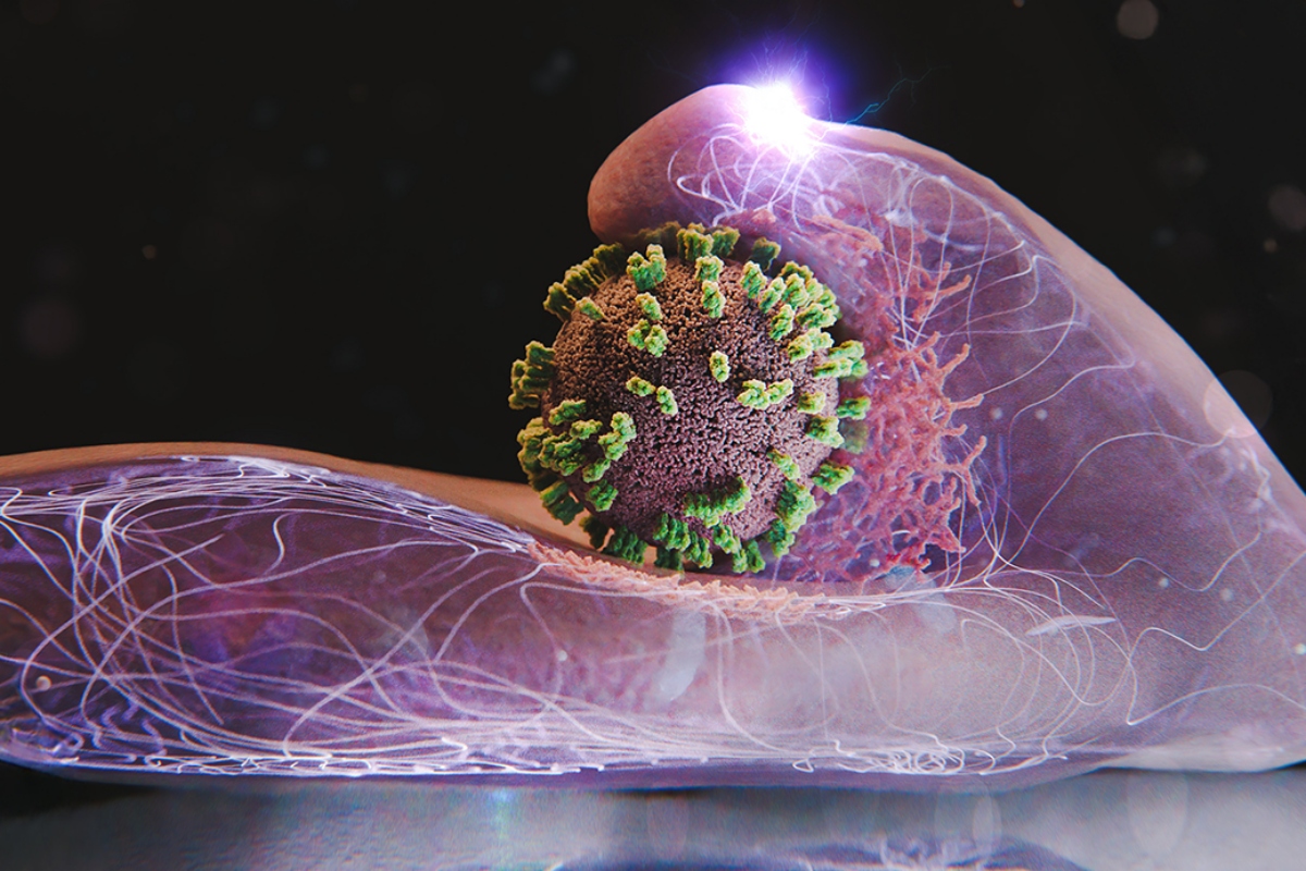 Células humanas “estendem a mão” ao vírus da gripe durante infecção