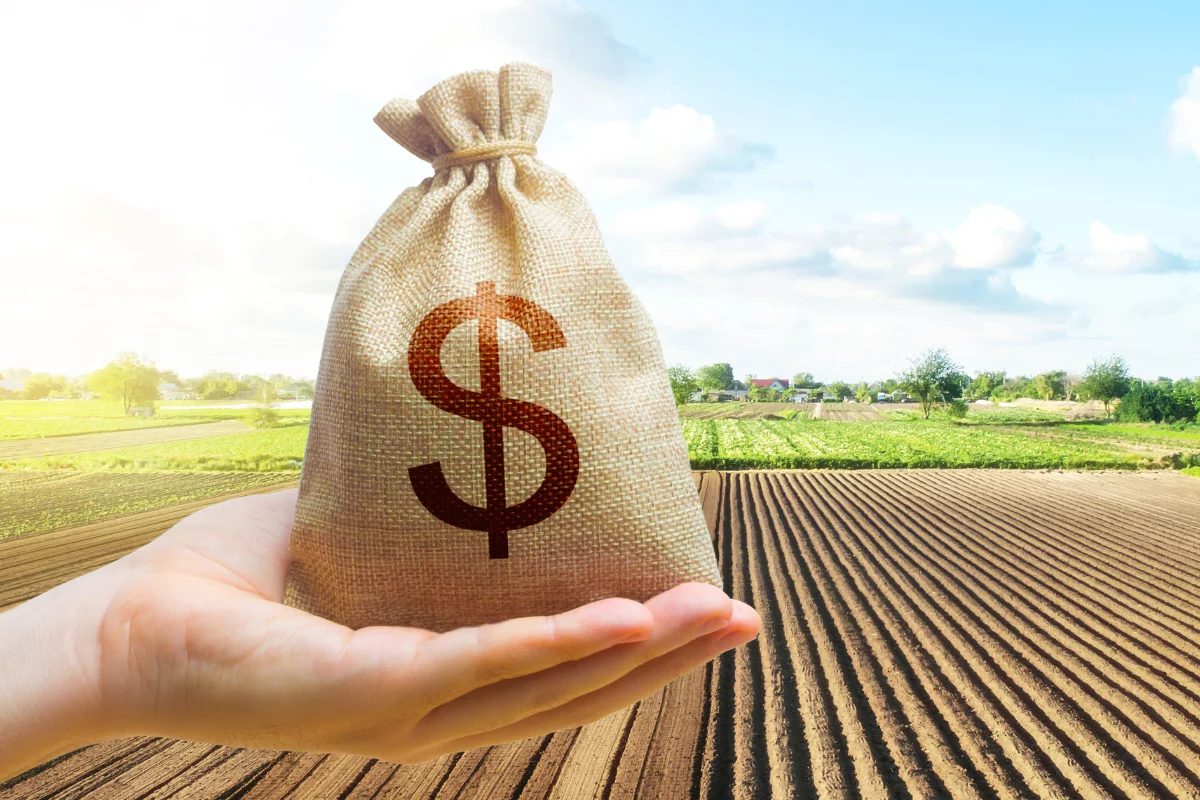 CNA revisa estimativa do PIB Agro em 2025 para alta de 8% a 8,5%