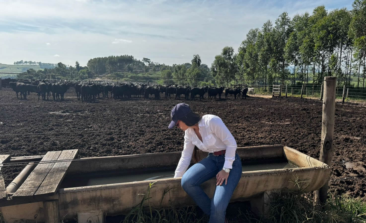 Cevada na alimentação de bovinos confinados: uma alternativa nutritiva e econômica