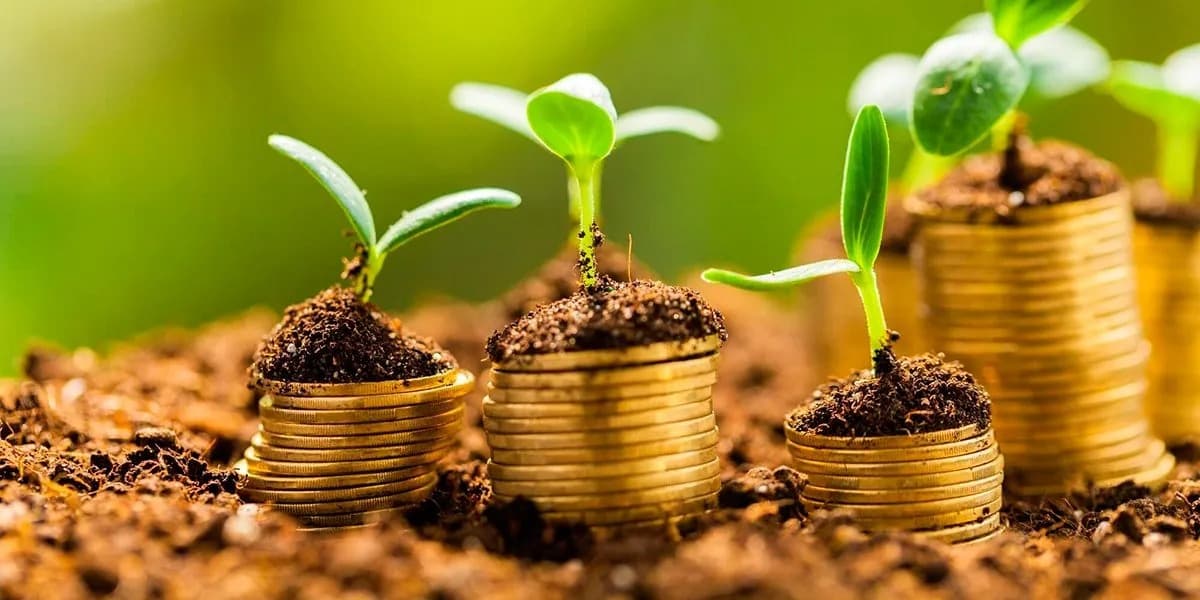 Para CNA, projeto aprovado no Senado moderniza e fortalece seguro rural