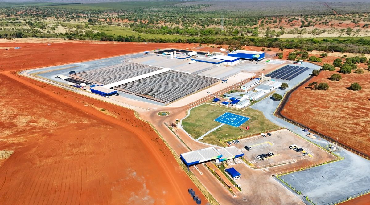 Macaúba: Gigante árabe investe US$ 3 bilhões para produzir 1 bilhão de litros de SAF por ano