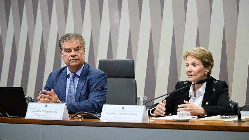 Comissão do Senado aprova plano para facilitar comércio com os EUA