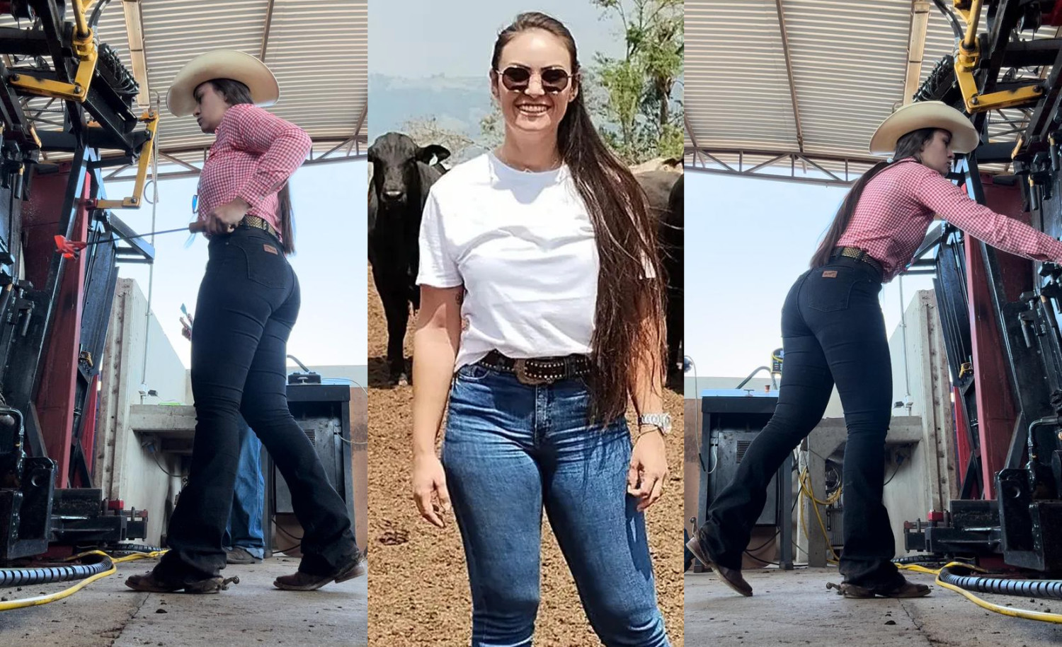 Impacto do manejo de resíduos na sustentabilidade do confinamento