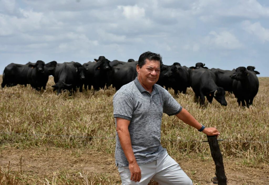Fazenda Tapuio mira liderança ao dobrar produção de queijo de búfala até 2027