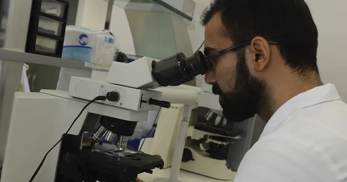 Método transforma a biomassa – resíduo da indústria de celulose – em arma contra ervas daninhas