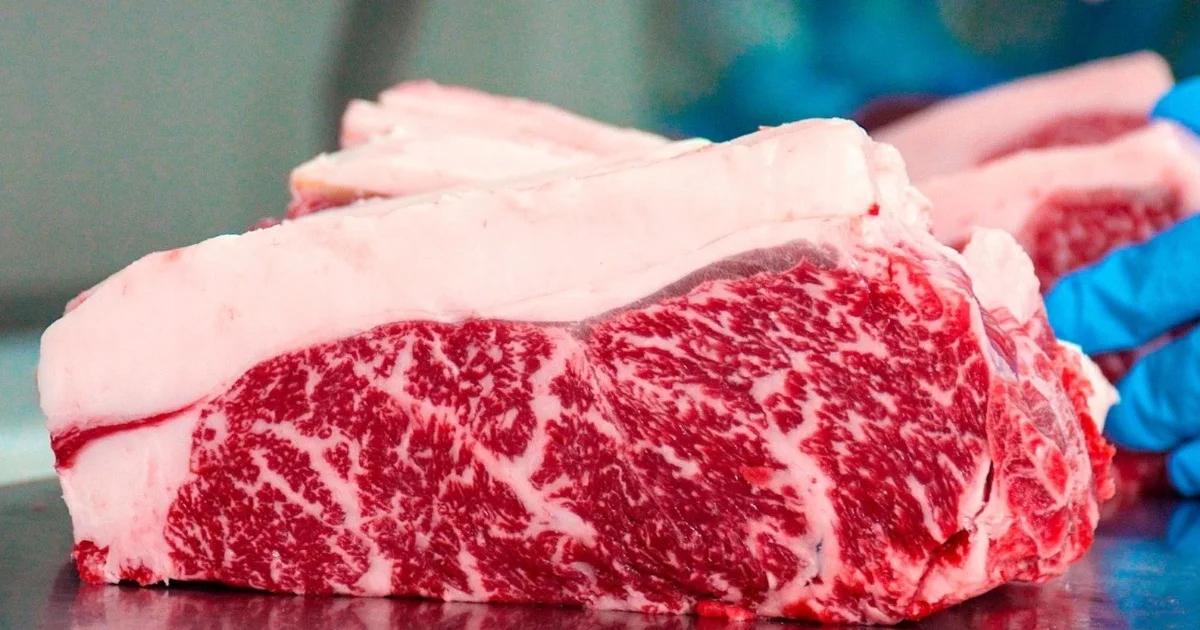 Comissão Europeia recolhe carne bovina brasileira após detectar hormônios proibidos