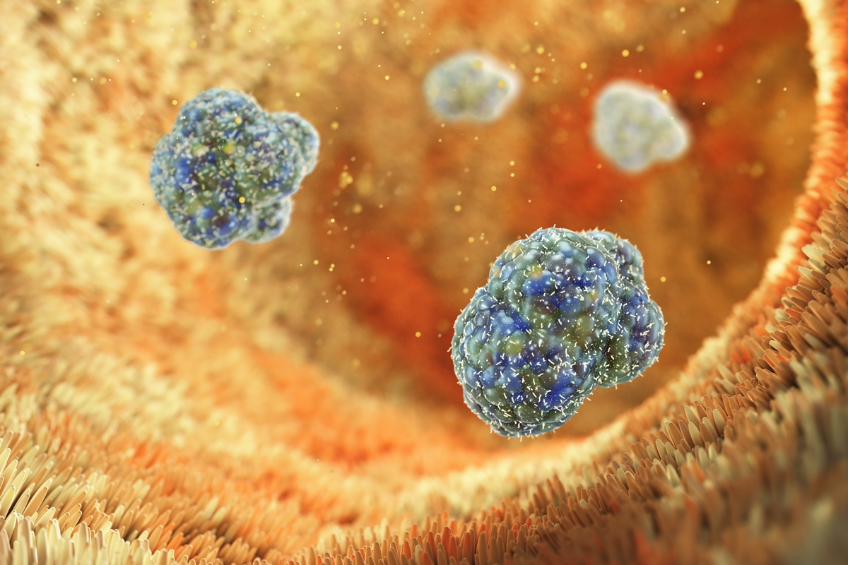 Molécula do intestino pode ajudar no controle da diabetes, diz estudo