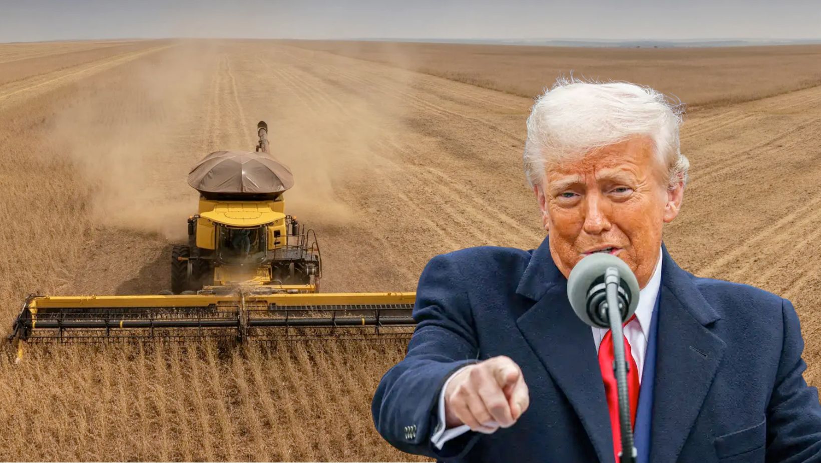 Trump anunciará ajuda de US$12 bi a agricultores atingidos pela guerra comercial, diz funcionário da Casa Branca