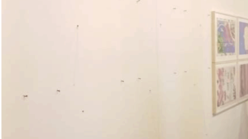 Polícia prende suspeito de roubo de obras de Portinari e Matisse em SP