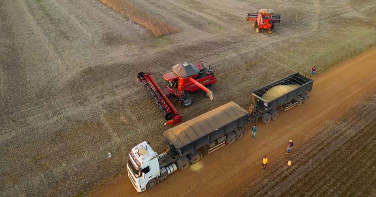 Concessão de crédito rural recua 16% e atinge R$ 83 bilhões no 1º semestre de 2025