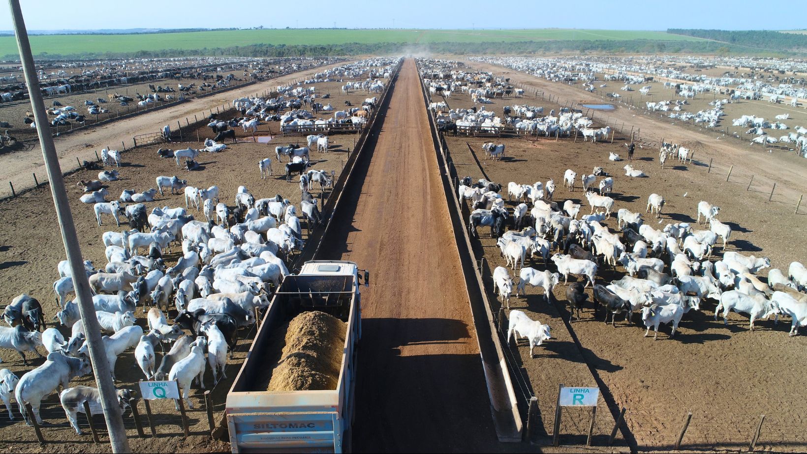 Custo da nutrição animal no confinamento recua em nov/25 na região Centro-Oeste, aponta ICAP