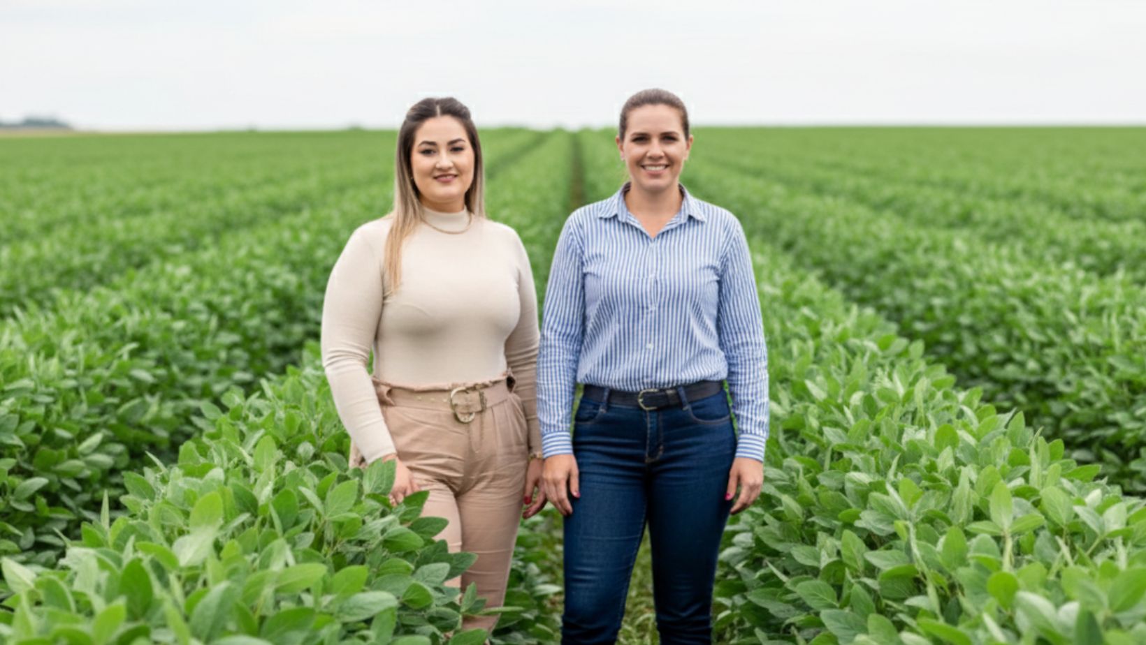 Sem acesso ao Plano Safra, produtor migra para novas fontes de crédito rural