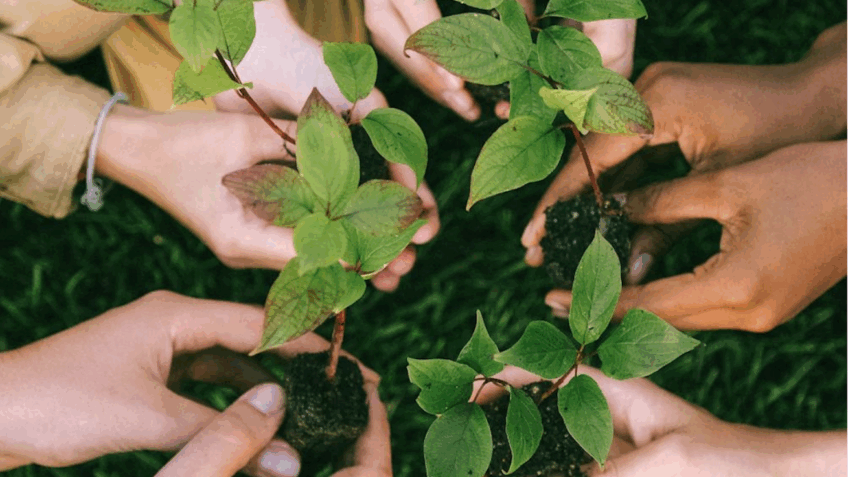 ONU: transformação econômica e ambiental pode gerar US$ 20 tri até 2070
