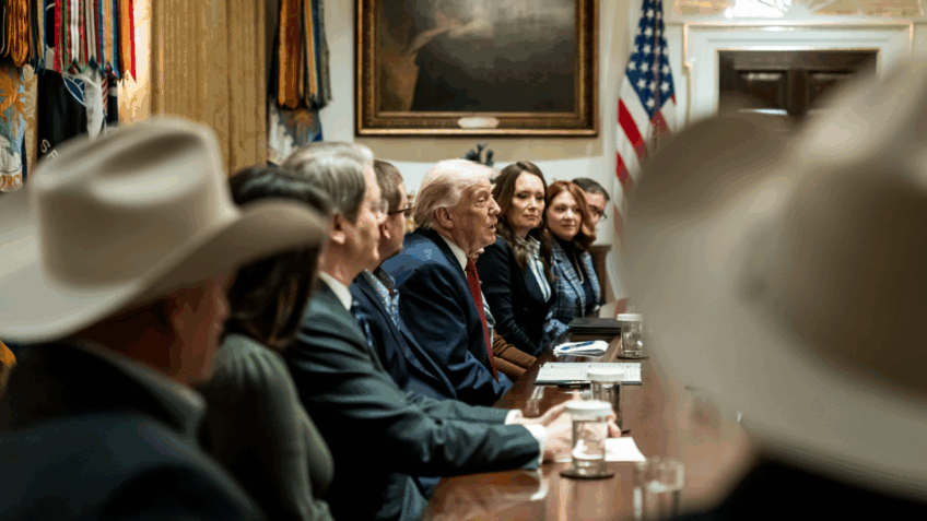 Trump critica União Europeia por multar rede social de Elon Musk