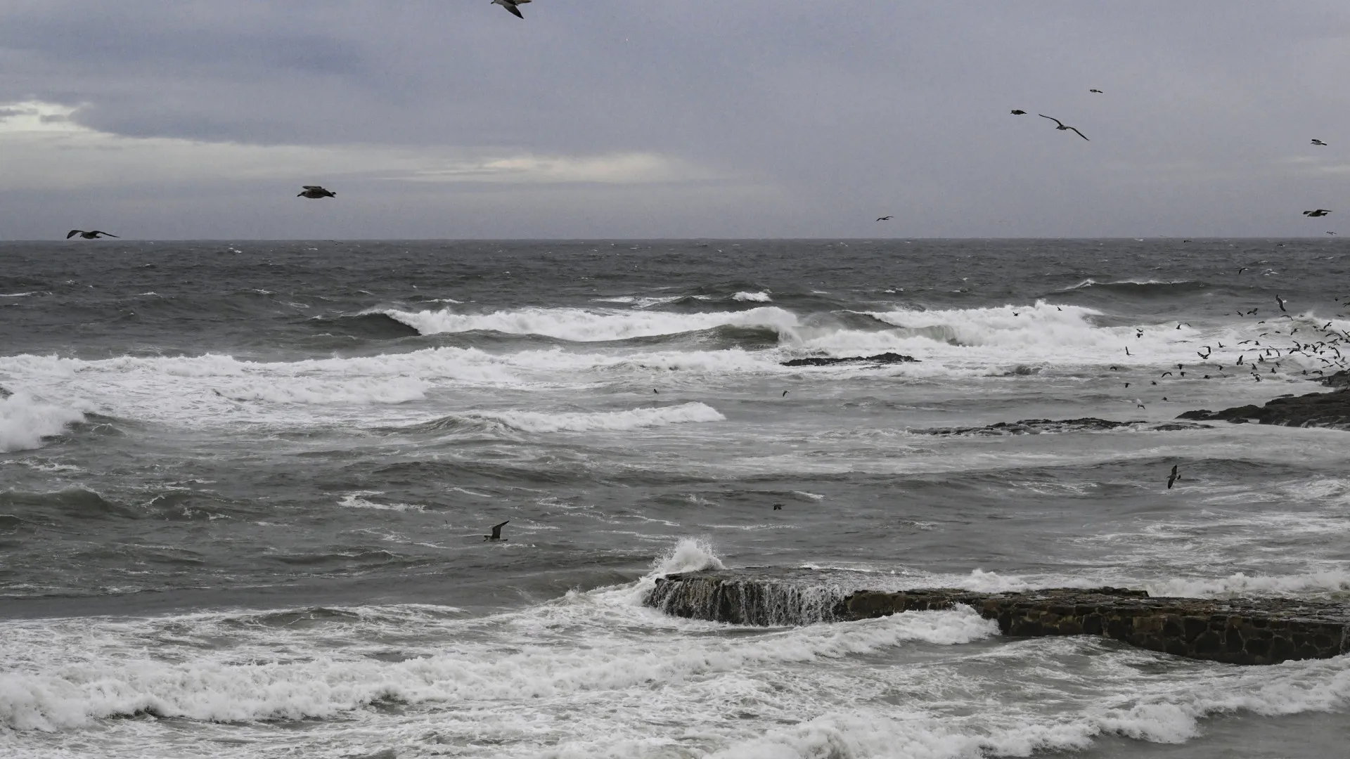 Sinais da natureza que profetizam terremotos e outros desastres naturais
