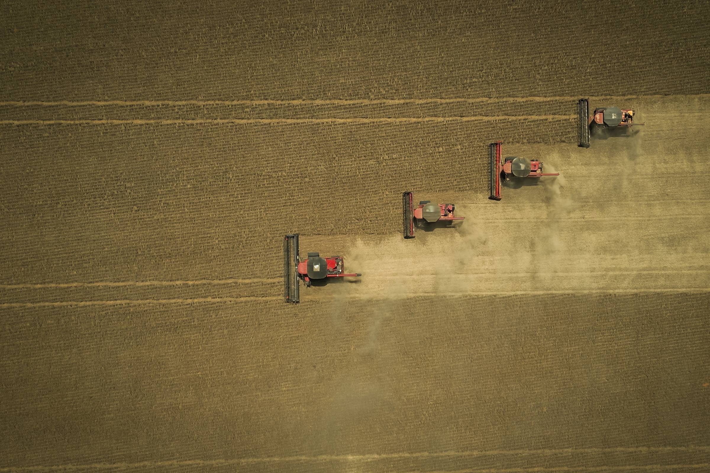 IBGE prevê recuo de 3% com safra de 335,7 milhões de toneladas em 2026