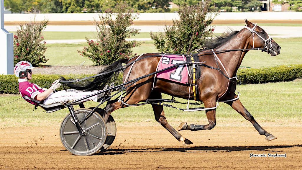 American Trotter: a máquina de velocidade que reinventou o trote americano