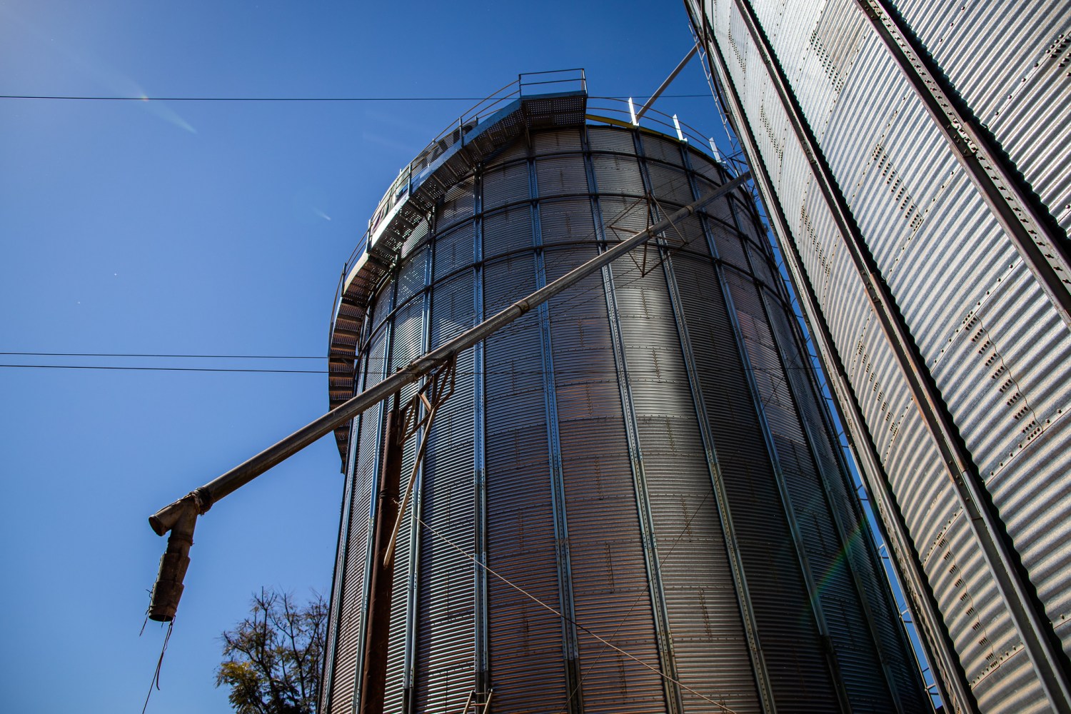 Conab lançará sistema que libera Código do Armazém em até 15 dias