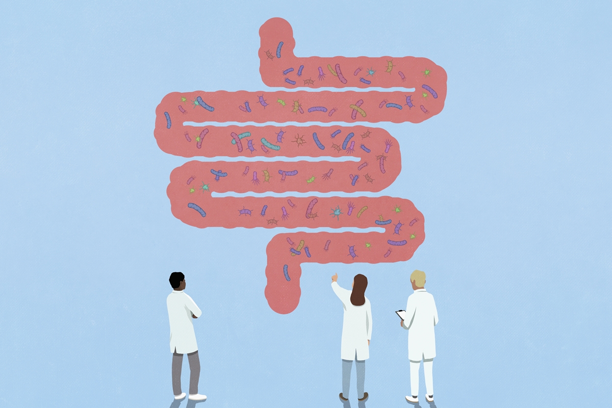 Cientistas criam ranking de bactérias intestinais que ajudam a saúde