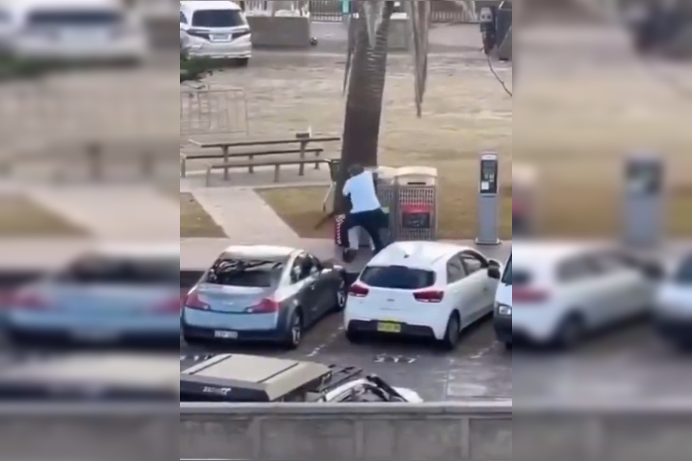 Austrália: homem desarma atirador após ataque que matou 12 pessoas