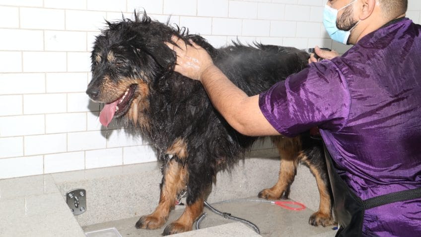 Inadimplência bate recorde com 8,4 milhões de empresas endividadas