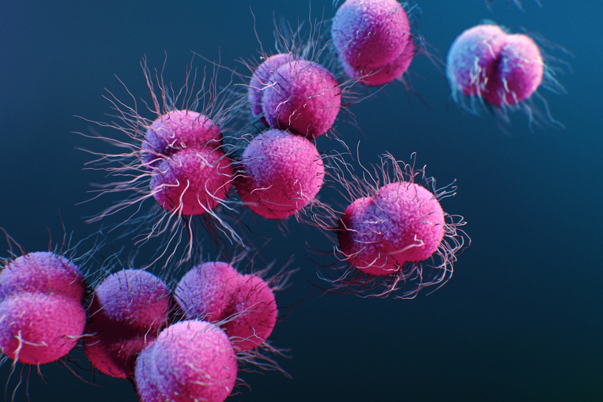 Preocupação com gonorreia resistente cresce e novos remédios avançam