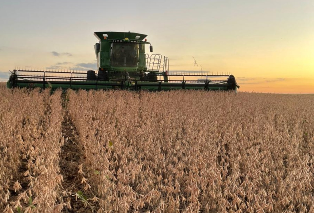 Agricultura gaúcha enfrentou em 2025 um dos anos mais difíceis, aponta FecoAgro/RS