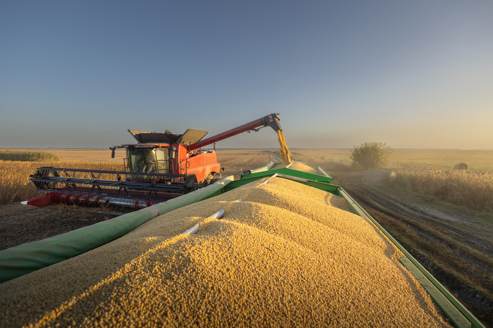 Serasa: pedidos de recuperação judicial no Agro batem recorde no 3º tri