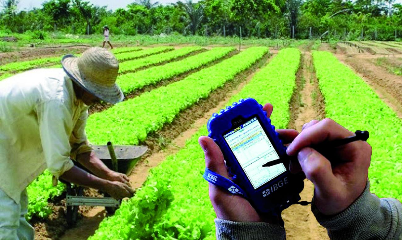 IBGE espera aprovação de R$ 700 mi para preparar coleta do Censo Agro