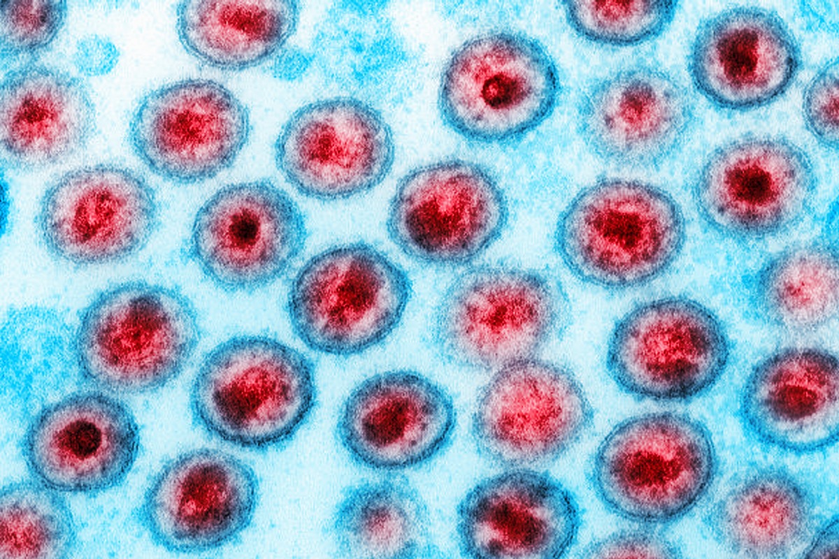 OMS reconhece fim de transmissão vertical do vírus HIV no Brasil