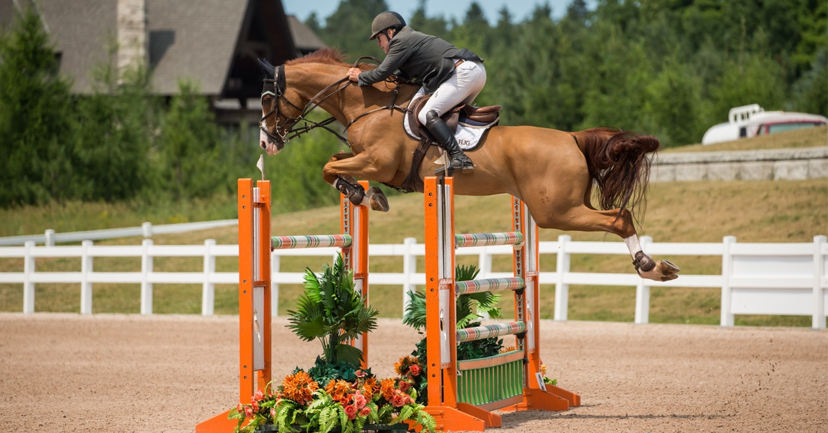 A partir de 2026, FEI muda regra histórica sobre sangramento de cavalos em competições