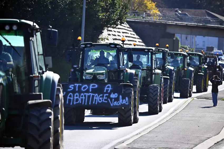 Produtores franceses bloqueiam rodovias contra abate de gado após surto de dermatite nodular, vídeo