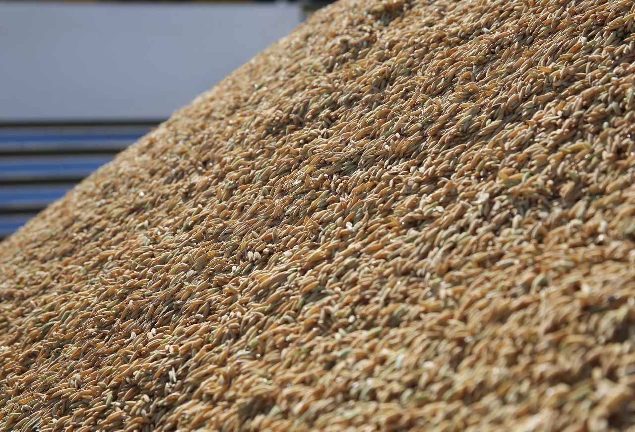 Preços do arroz têm pequenas reações