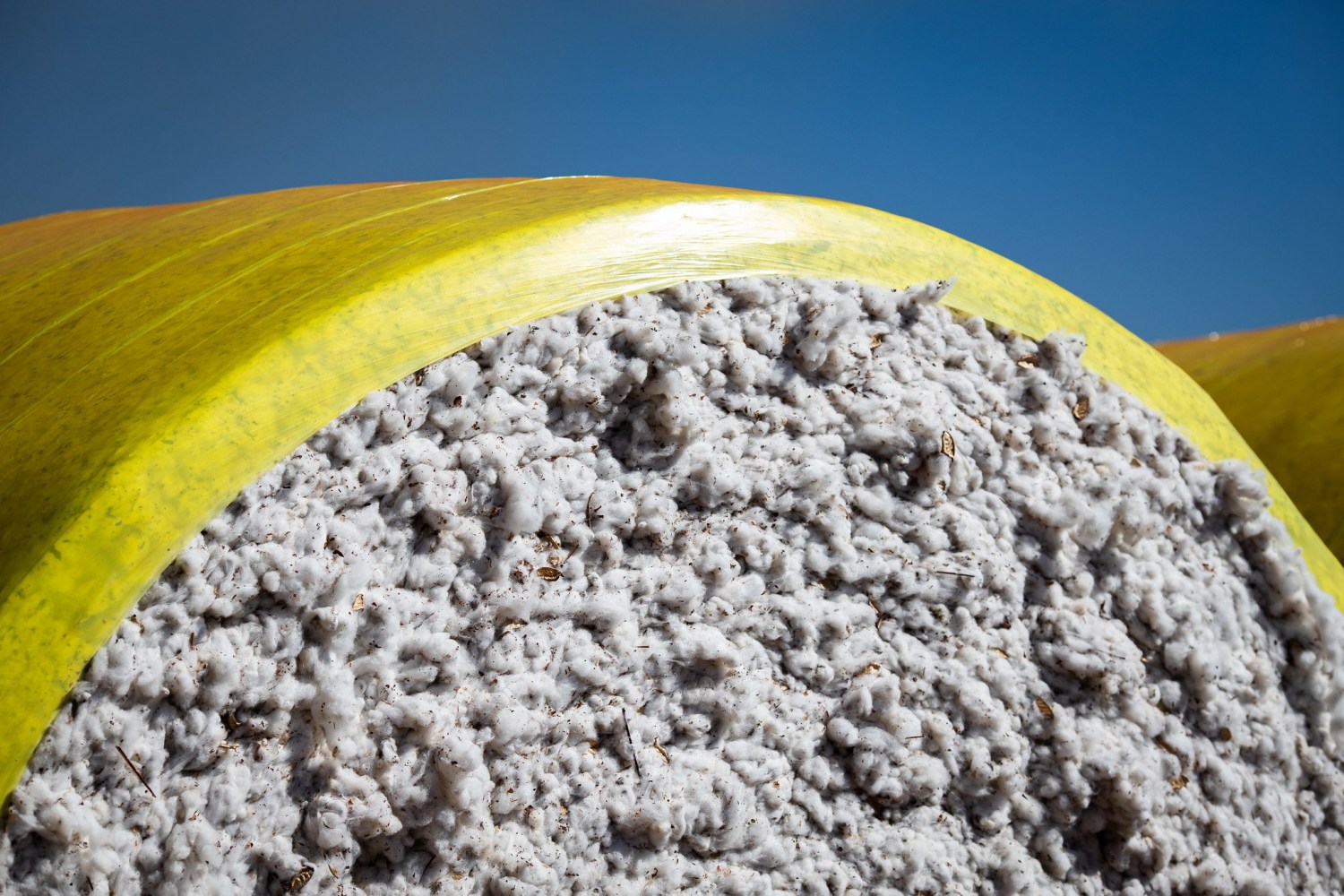 Liquidez do algodão diminui no spot