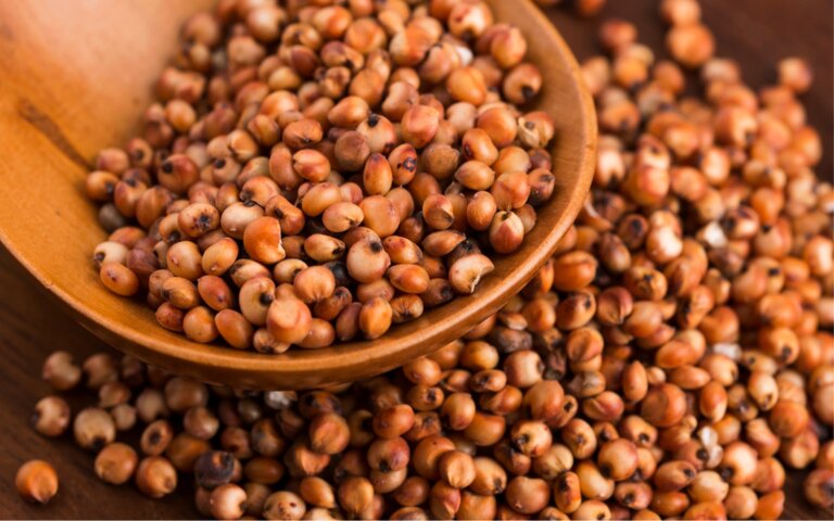 Aberturas de mercado nos Emirados Árabes Unidos, em Gana e no Peru