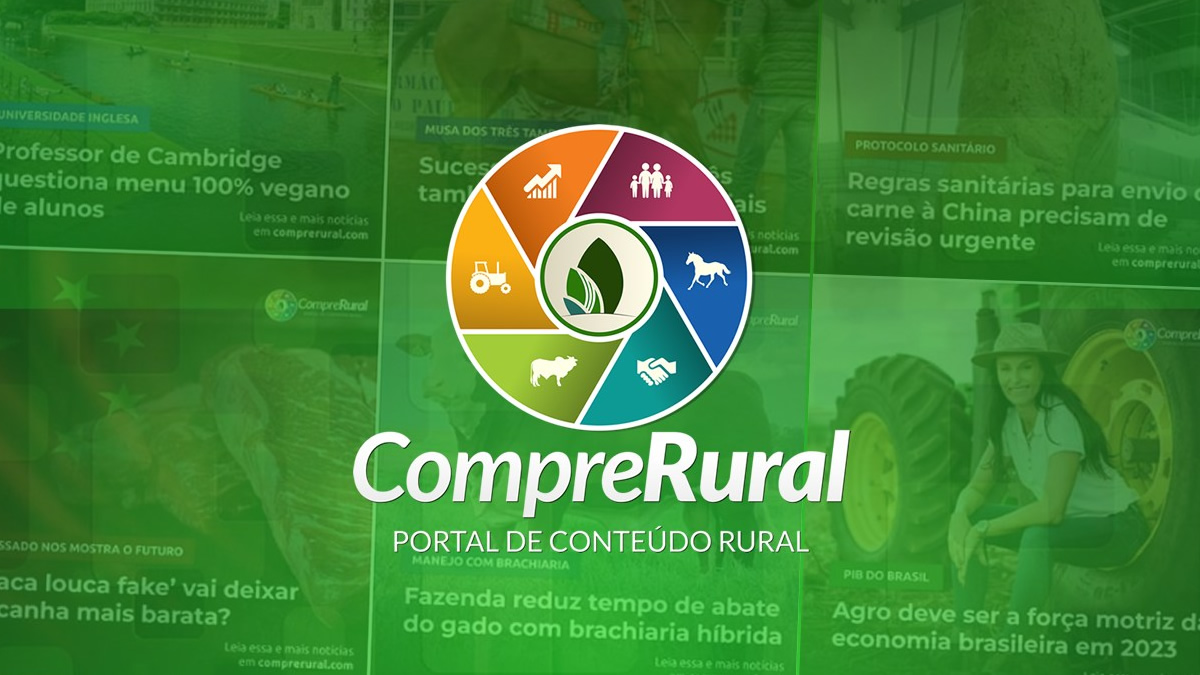 Raças mais utilizadas no confinamento: Zebuínos ainda dominam?