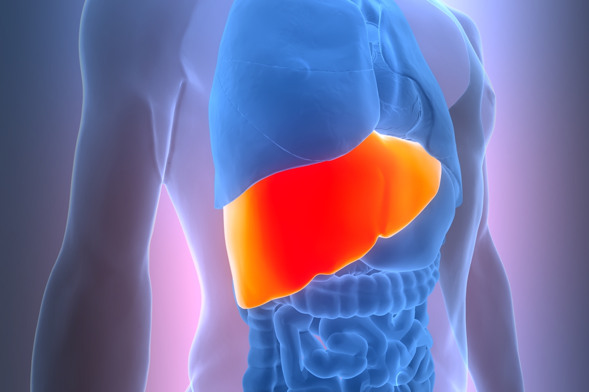 Gordura no fígado: principais sintomas que indicam a doença silenciosa