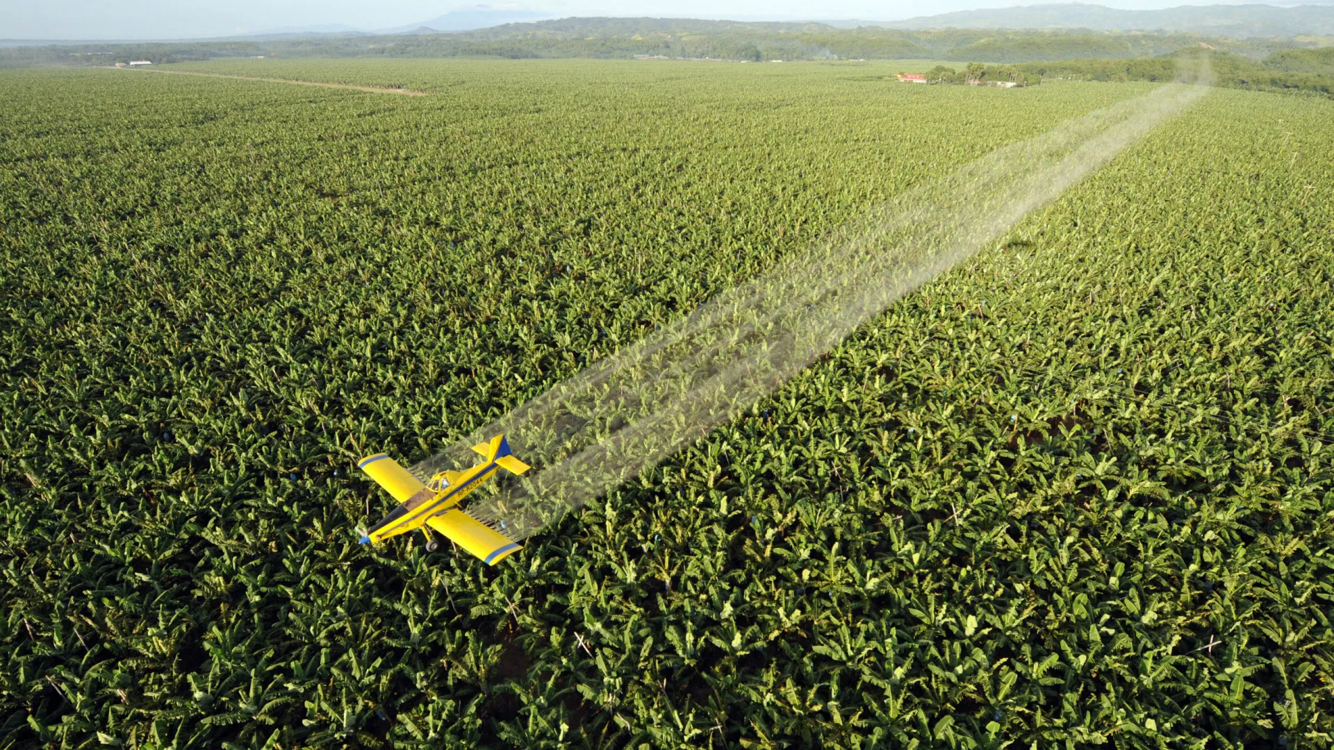 Países que mais utilizam pesticidas