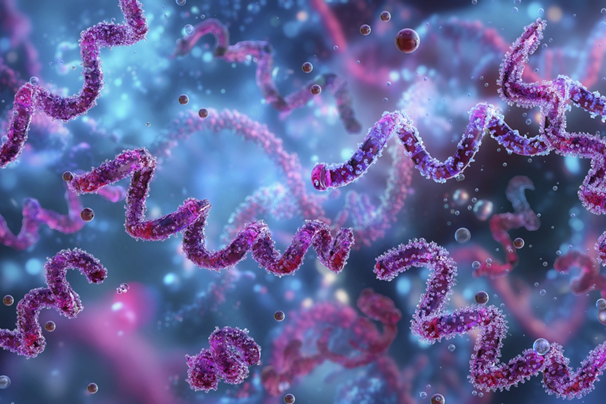 Sífilis segue em alta no Brasil, apesar de ter prevenção simples